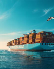 A large cargo ship representing ocean freight forwarder sailing on calm waters, surrounded by a clear blue sky. A seagull flies overhead in the foreground.